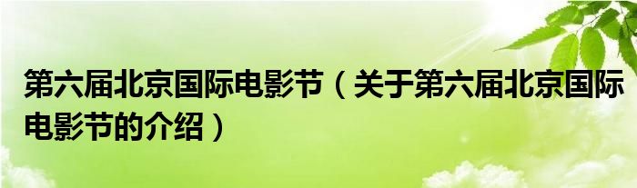 第六届北京国际电影节（关于第六届北京国际电影节的介绍）
