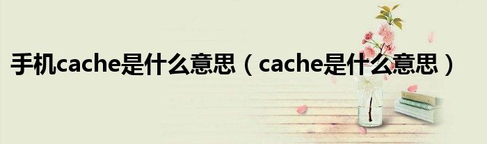 手机cache是什么意思（cache是什么意思）
