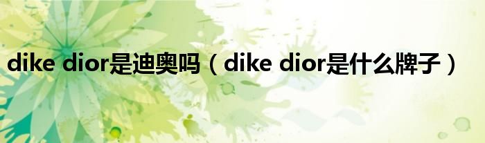 dike dior是迪奥吗（dike dior是什么牌子）