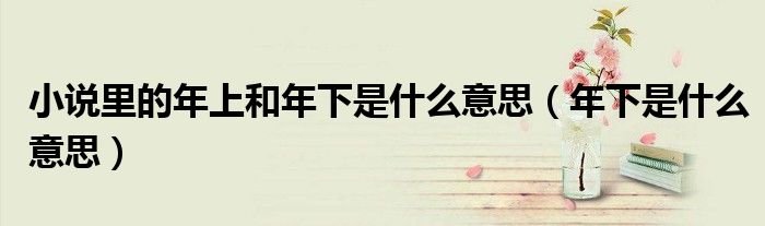 小说里的年上和年下是什么意思（年下是什么意思）