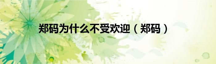 郑码为什么不受欢迎（郑码）