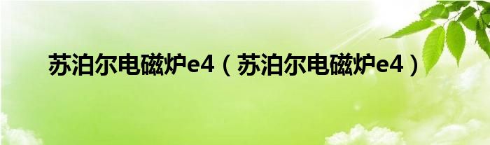 苏泊尔电磁炉e4（苏泊尔电磁炉e4）