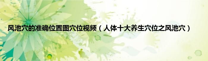 风池穴的准确位置图穴位视频（人体十大养生穴位之风池穴）