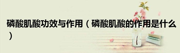 磷酸肌酸功效与作用（磷酸肌酸的作用是什么）