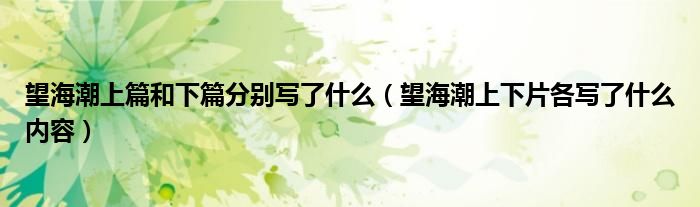 望海潮上篇和下篇分别写了什么（望海潮上下片各写了什么内容）