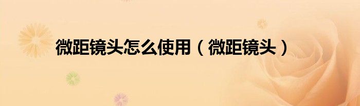 微距镜头怎么使用（微距镜头）