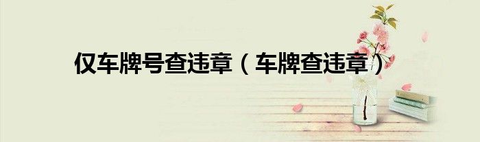 仅车牌号查违章（车牌查违章）