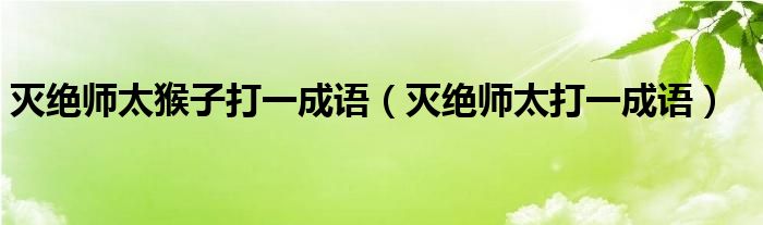 灭绝师太猴子打一成语（灭绝师太打一成语）