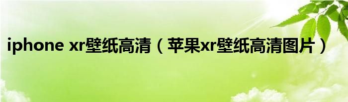 iphone xr壁纸高清（苹果xr壁纸高清图片）