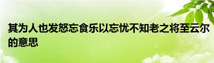 其为人也发怒忘食乐以忘忧不知老之将至云尔的意思