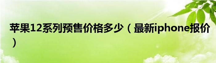 苹果12系列预售价格多少（最新iphone报价）