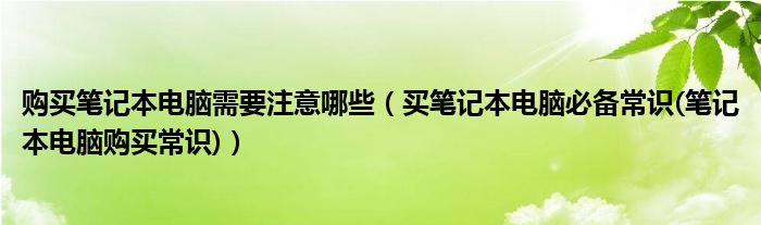 购买笔记本电脑需要注意哪些（买笔记本电脑必备常识(笔记本电脑购买常识)）