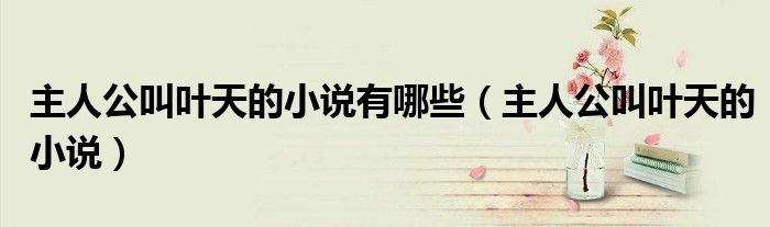 主人公叫叶天的小说有哪些（主人公叫叶天的小说）