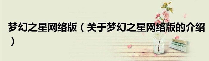 梦幻之星网络版（关于梦幻之星网络版的介绍）