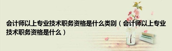 会计师以上专业技术职务资格是什么类别（会计师以上专业技术职务资格是什么）