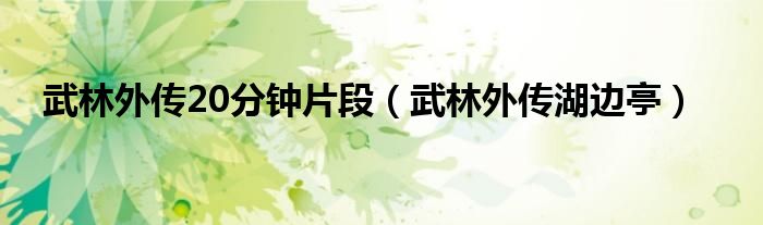 武林外传20分钟片段（武林外传湖边亭）