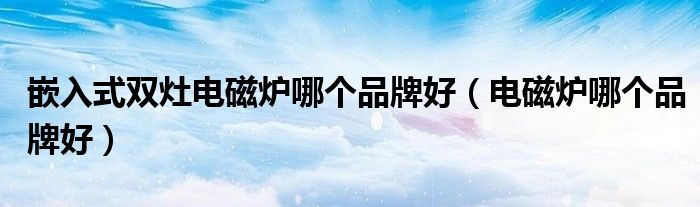 嵌入式双灶电磁炉哪个品牌好（电磁炉哪个品牌好）