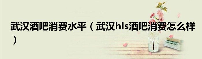武汉酒吧消费水平（武汉hls酒吧消费怎么样）