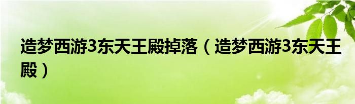 造梦西游3东天王殿掉落（造梦西游3东天王殿）