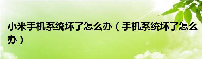小米手机系统坏了怎么办（手机系统坏了怎么办）