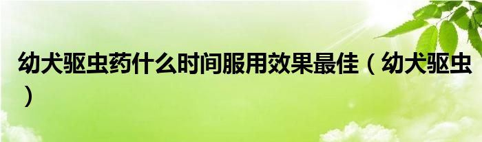 幼犬驱虫药什么时间服用效果最佳（幼犬驱虫）