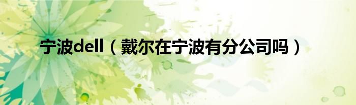 宁波dell（戴尔在宁波有分公司吗）