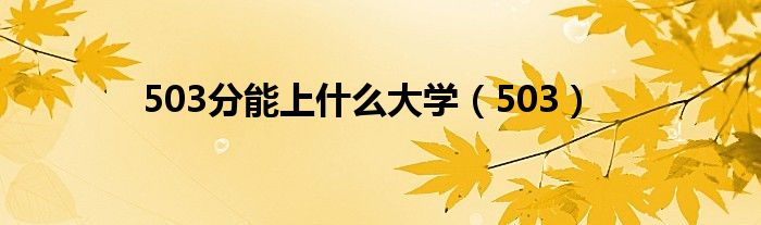503分能上什么大学（503）