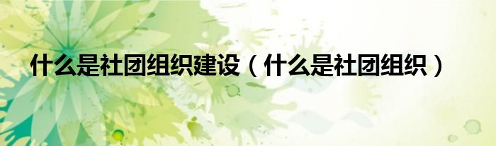 什么是社团组织建设（什么是社团组织）