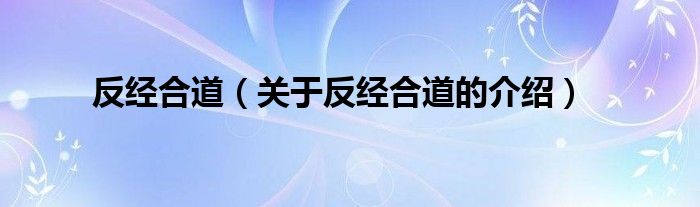 反经合道（关于反经合道的介绍）