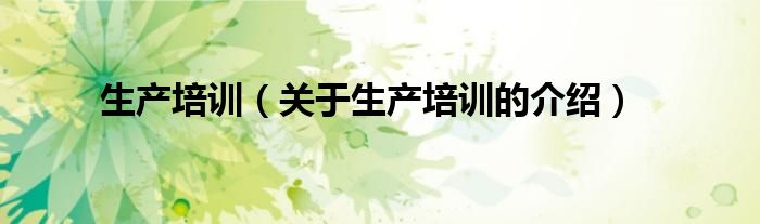 生产培训（关于生产培训的介绍）